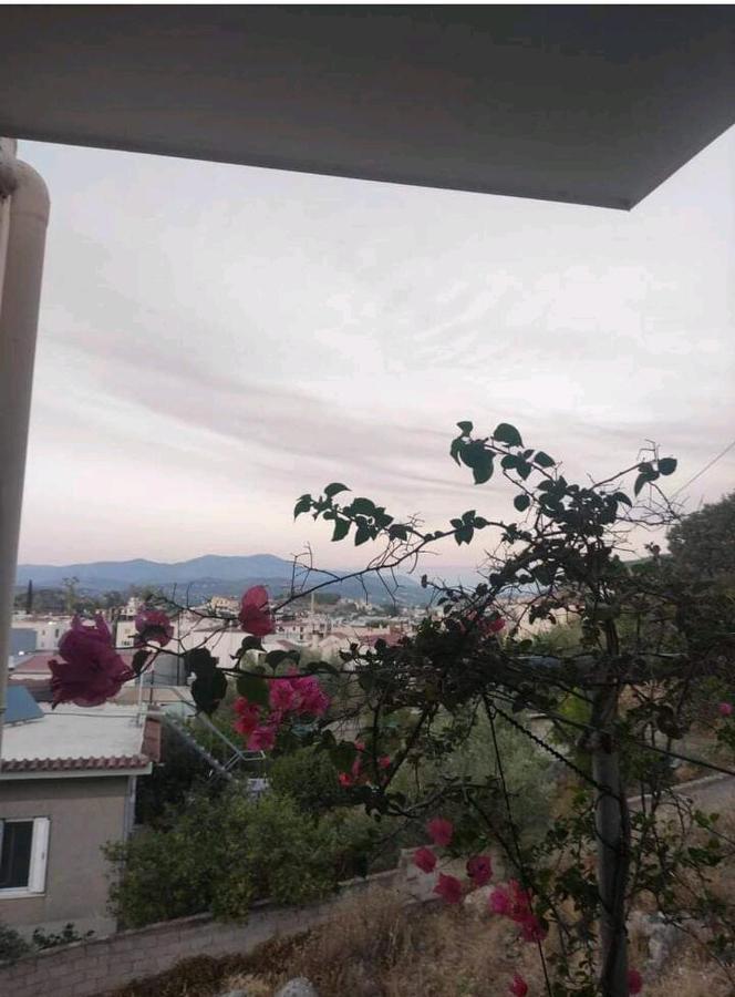 Όμορφο Και Ευρύχωρο Διαμέρισμα Με Θέα! Nafplio Exterior foto